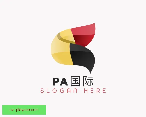 关于PA国际